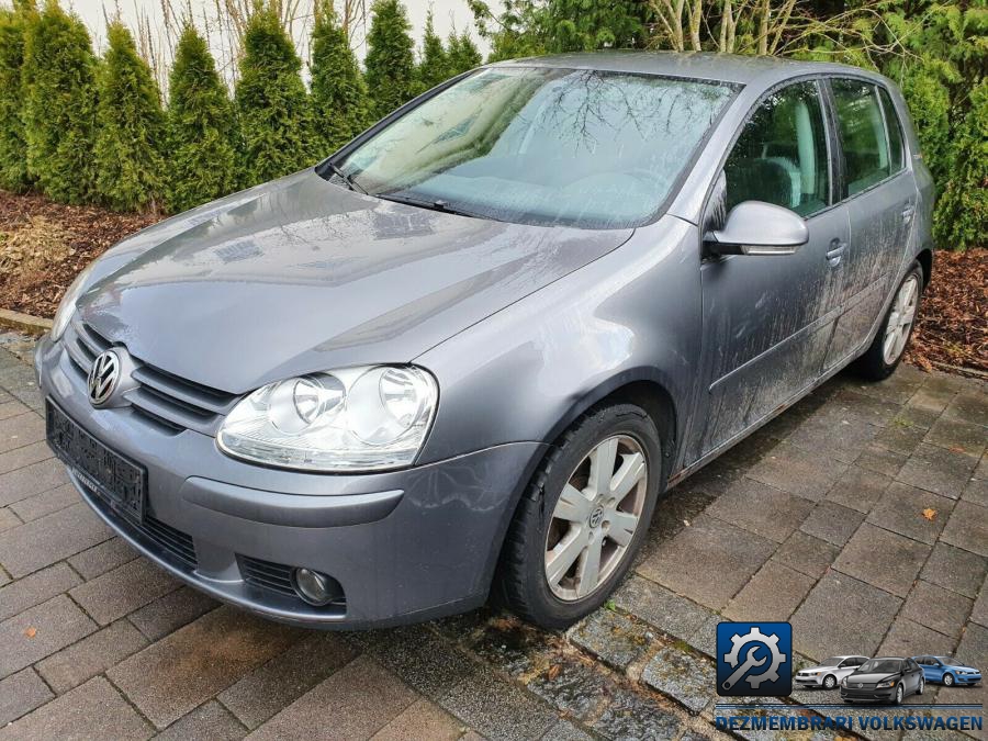 Amortizor capota volkswagen golf 2004